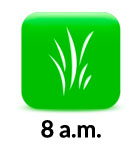 8am grass icon 2