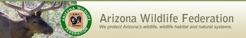 The Arizona Wildlife Federation