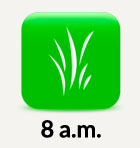 8am grass icon