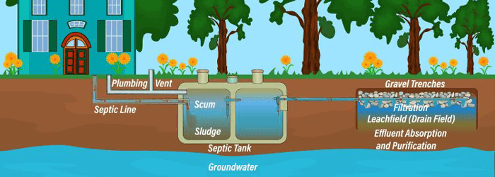 What Should I Know About My Home’s Septic System? – Rosie On The House