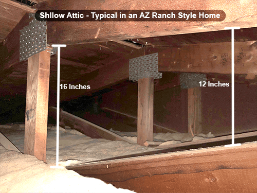 Is What's Living in Your Attic Bringing Your Home Value Down
