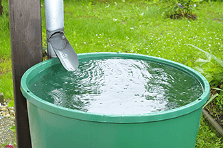 WATER-SAVING WAYS TO GROW YOUR DESERT GARDEN – Rosie On The House
