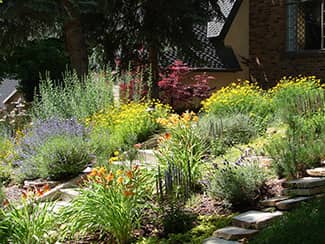 Xeriscaping doesn't mean you need to give up having a lush beautiful landscape