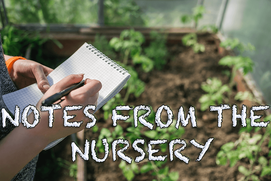 Notes From The Nursery