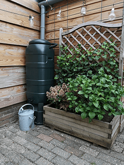 Rainwater collection holding tank 