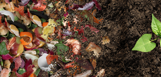 ArticlePost_Image-Composting
