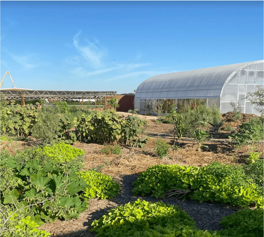Arizona Worm Farm