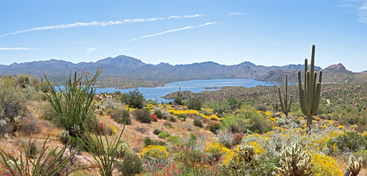 BlogPost_Image8-13-22-Arizona-Water-Resources