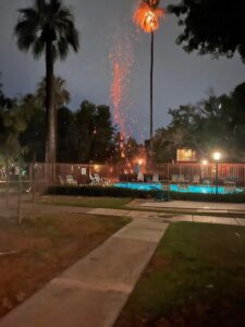 Lightning strike causes fire in Fan Palm