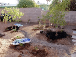 After planting your desert plants, top with organic mulch before applying granite or rock.