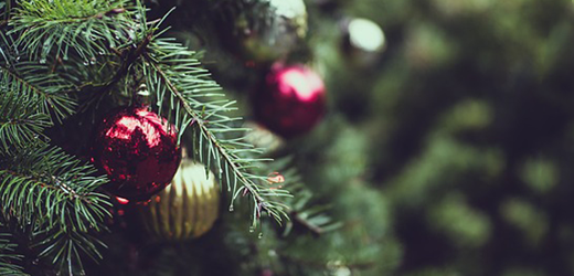 BlogPost_Image-12-17-22-Fresh-Christmas-Tree