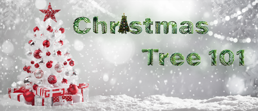 PodcastPost_Image-Christmas-Tree-101