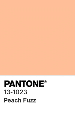 Embrace The Warmth with PANTONE 13-1023 Peach Fuzz