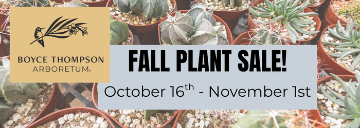 FALL PLANT SALE!