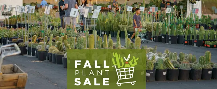 desert-botanical-garden-fall-plant-sale