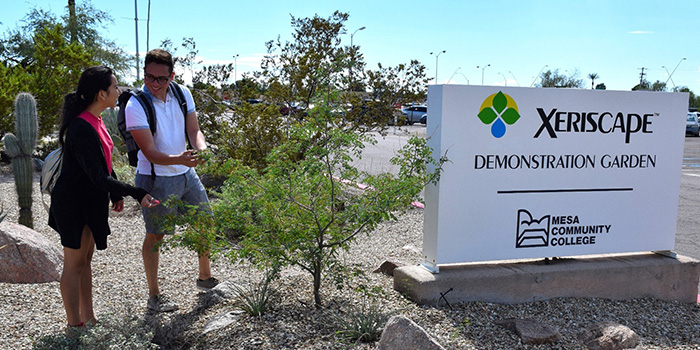Mesa Community College Demonstration Garden