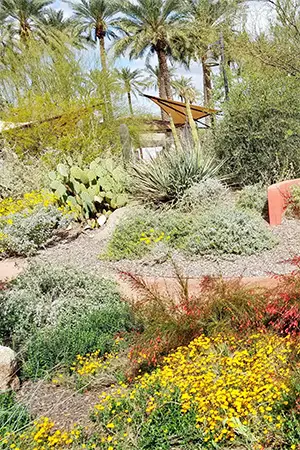 Peoria City Hall Demonstration Garden