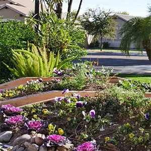 #GardeningWithElegance 
