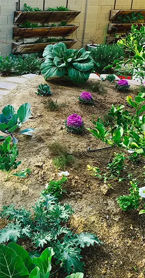 #GardeningWithElegance 