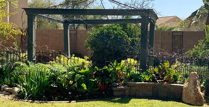 #GardeningWithElegance 