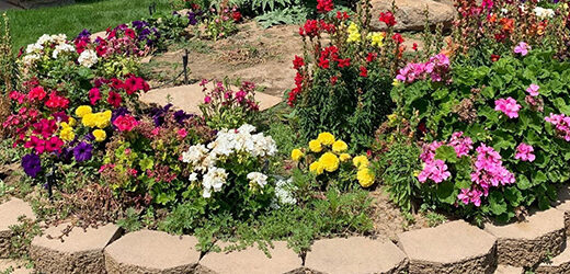 Agriscaping #GardenPlantSelection