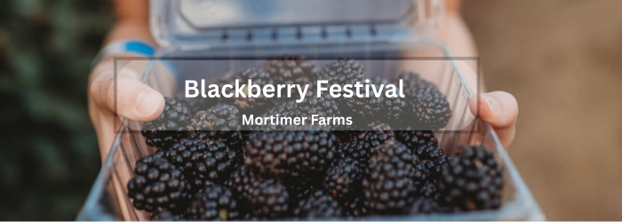 Blackberry Festival header