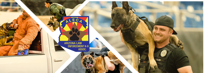 K9 comp